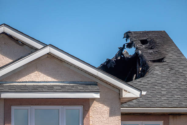 Licensed Fire Damage Repair service in Dunedin, FL - Fire Damage Biloxi